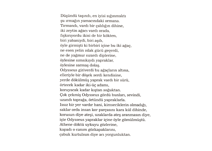 https://www.francescamarconi.com/files/gimgs/th-8_12turco.jpg